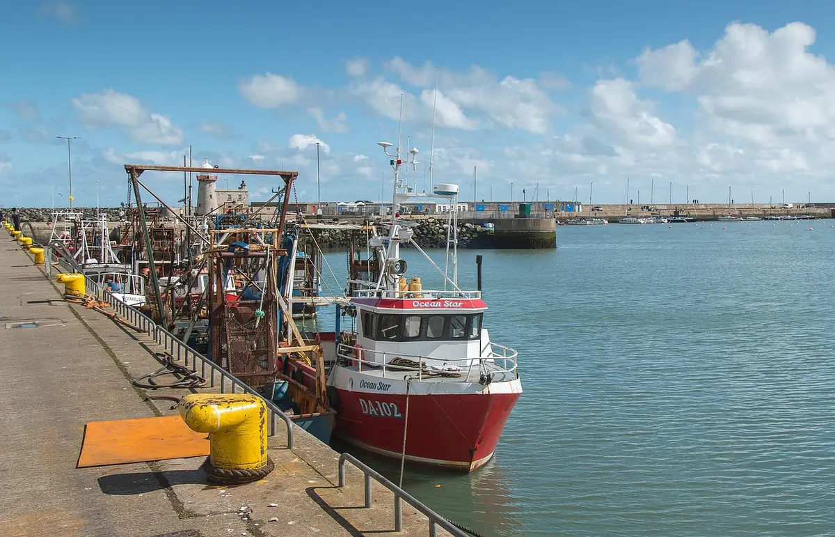 The History of Wick's Harbour: A Local Explainer
